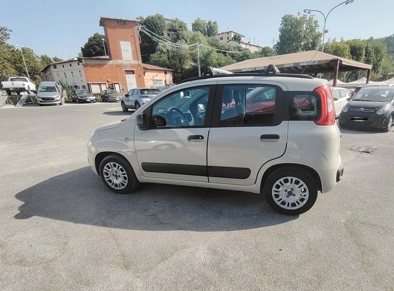 Fiat Panda 1.2 Pandazzurri - NEOPATENTATI