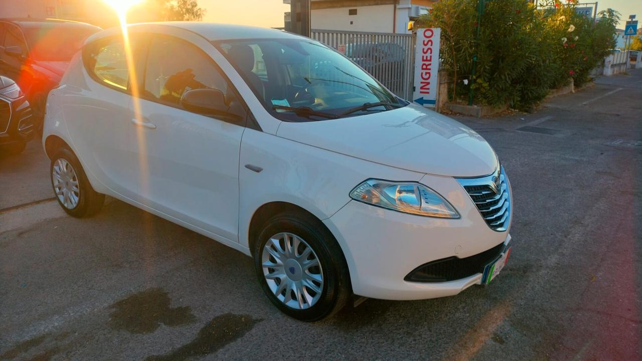 Lancia Ypsilon 0.9 TwinAir 85 CV 5 porte Metano Ecochic Elefantino