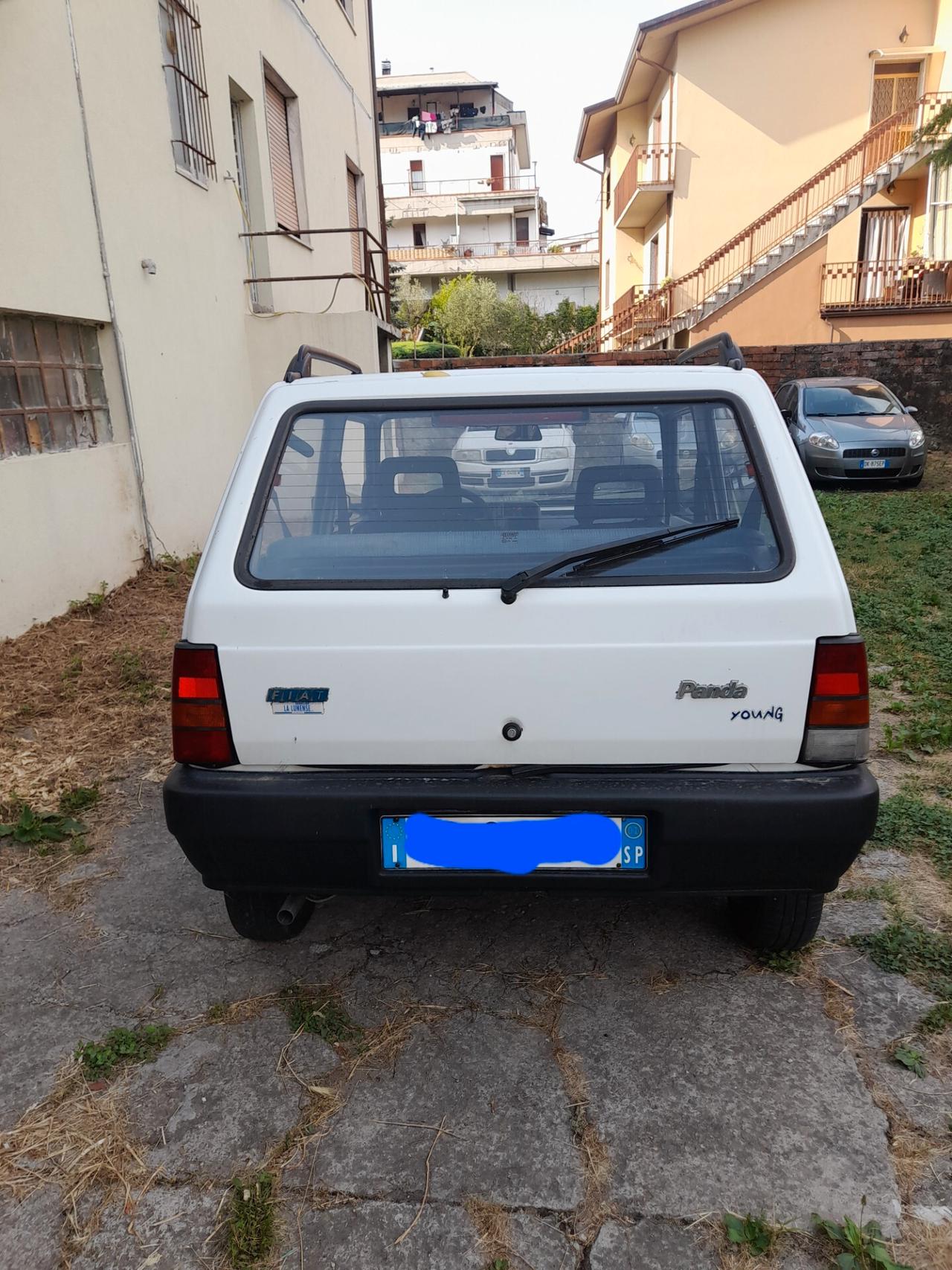 Fiat Panda 1100 i.e. cat Young