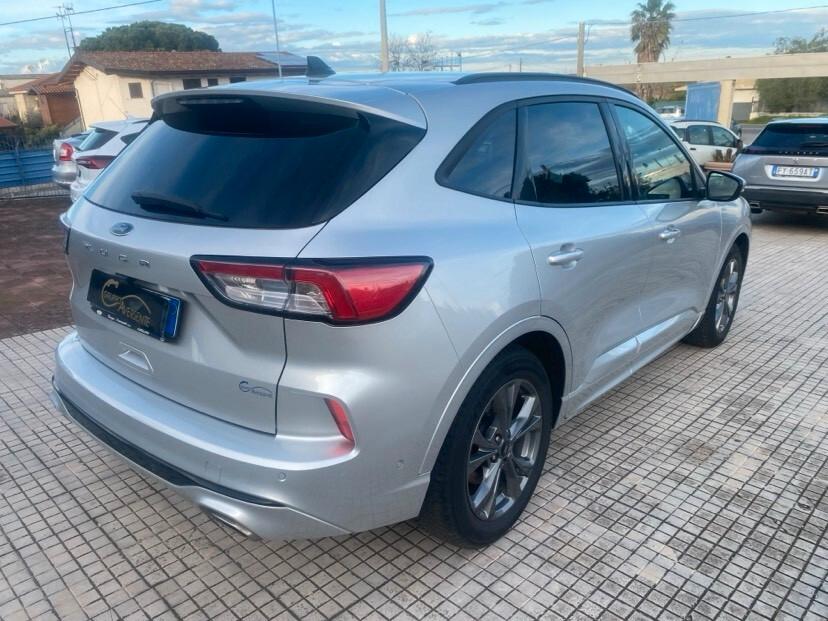 Ford Kuga 1.5 EcoBlue 120 CV 2WD ST-Line