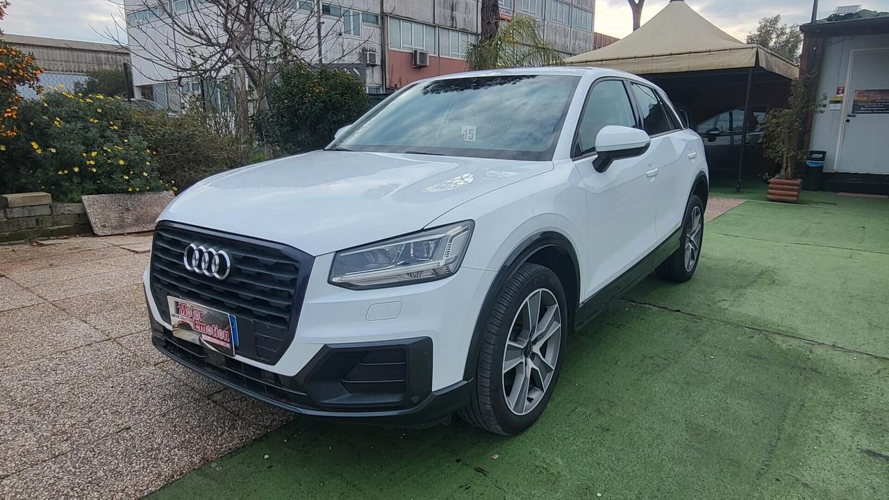 Audi Q2 1.6 TDI Business 116CV