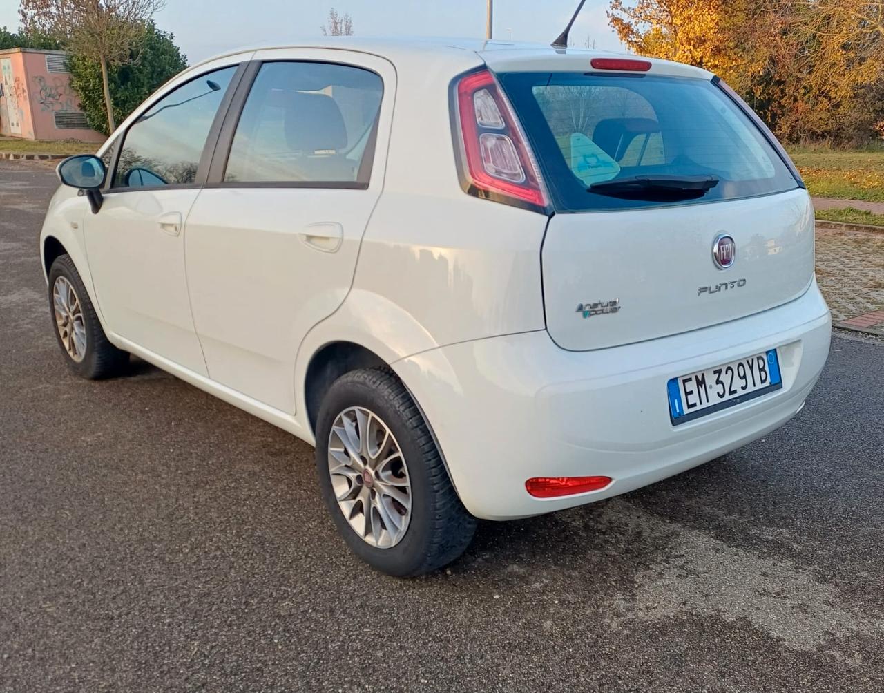 Fiat Punto 1.4 8V 5 porte Natural Power Easy