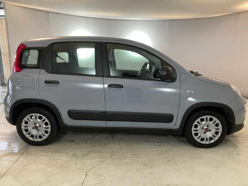 FIAT Panda III - Panda 1.0 firefly hybrid (Red) s&s 70cv