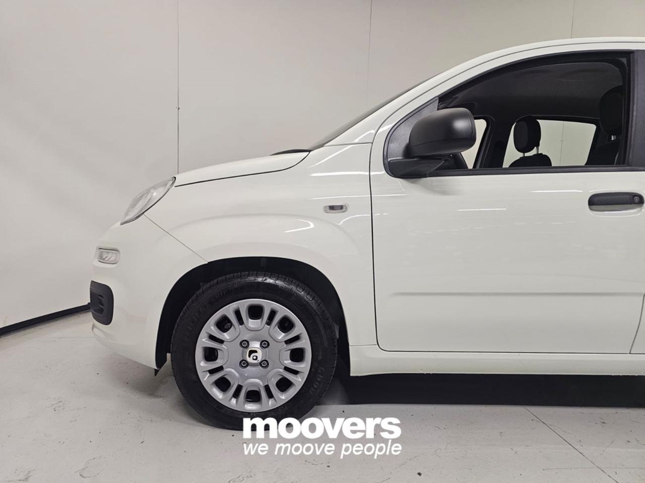 FIAT Panda 3ª serie 1.0 FireFly S&S Hybrid Pandina