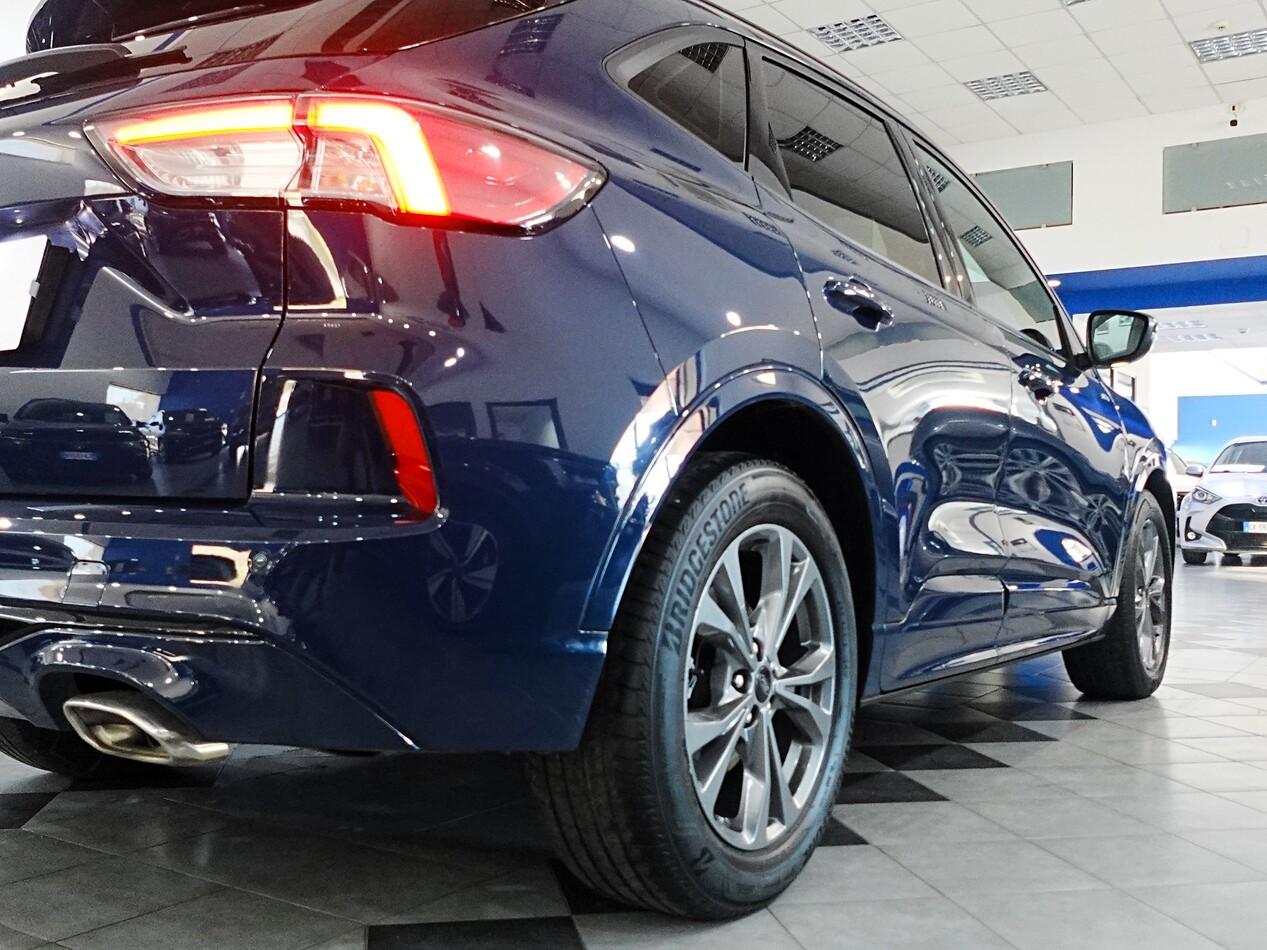 Ford Kuga 2.0 EcoBlue 120 CV POWERSHIFT ST LINE
