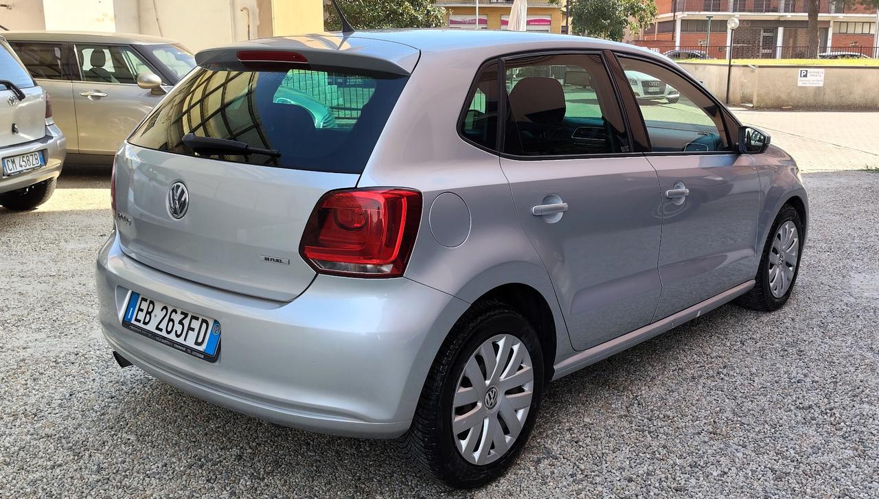 Volkswagen Polo 1.4 5p Highline GPL