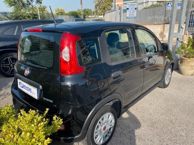 Fiat Panda 1.0 FireFly S&S Hybrid City Life Km 19000 iva deducibile
