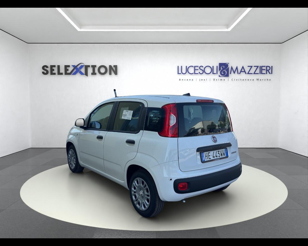 FIAT Pandina - Pandina 1.0 FireFly 65 CV Hybrid Icon