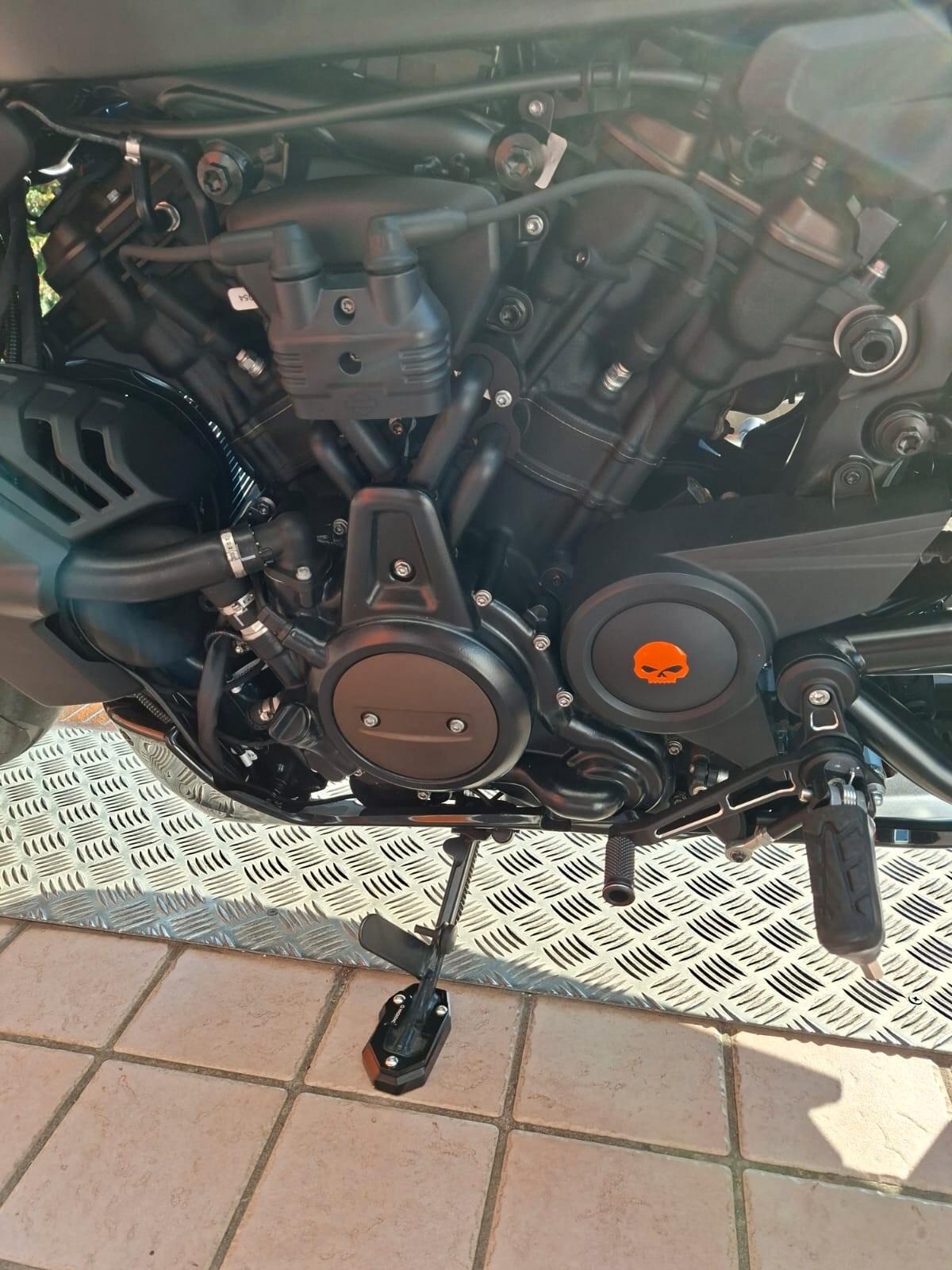 Harley-davidson Altro Sport Sporster 1250 S
