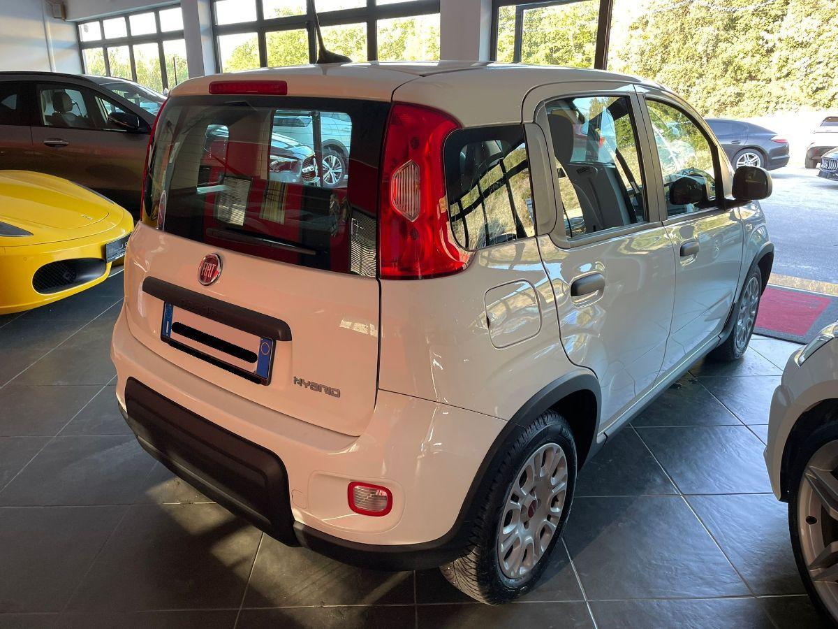 FIAT PANDA 1.0 FIREFLY HYBRID 70CV CITY LIFE