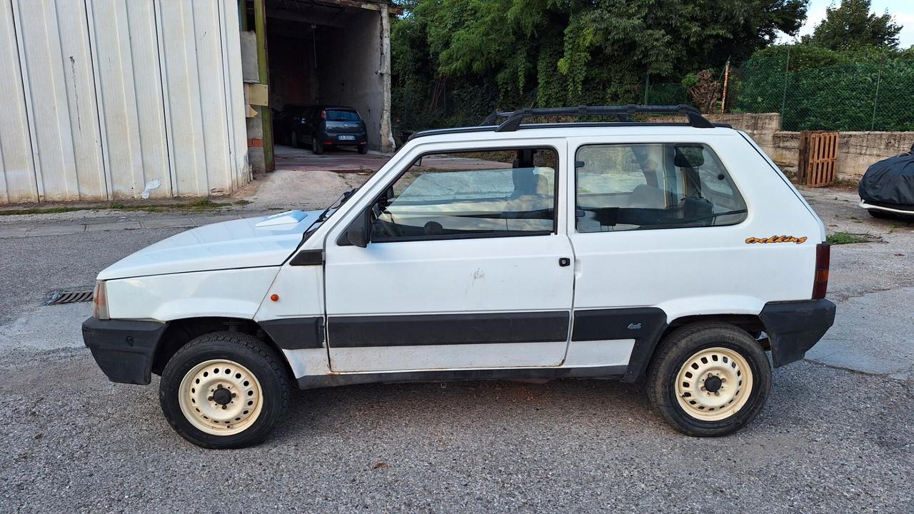 Fiat Panda 1100 i.e. cat 4x4 Trekking