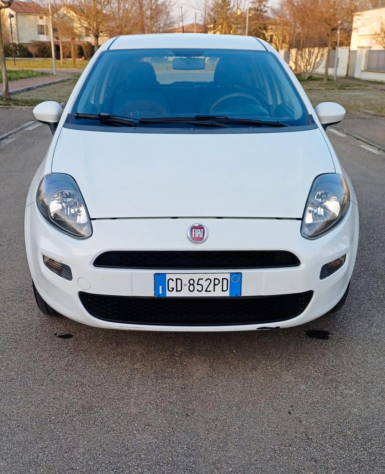 Fiat Punto Evo Punto Evo 1.4 5 porte Dynamic Natural Power