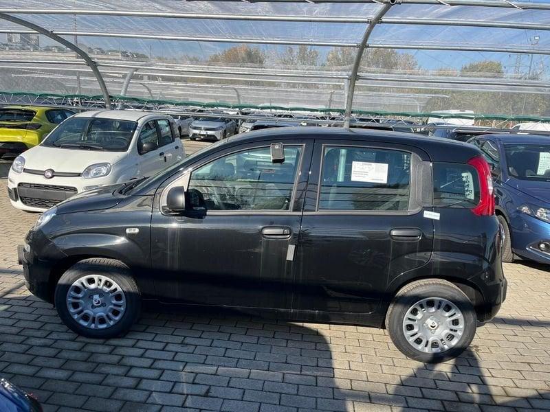 FIAT Panda Panda 1.0 FireFly S&S Hybrid Icon
