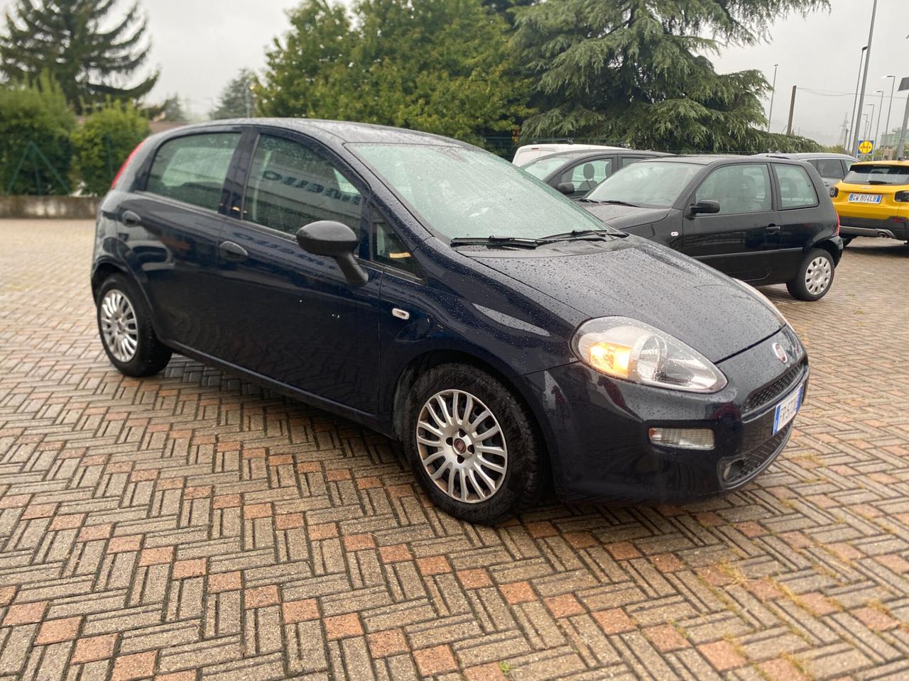Fiat Punto 1.3 MJT II S&S 95 CV 5 porte Street