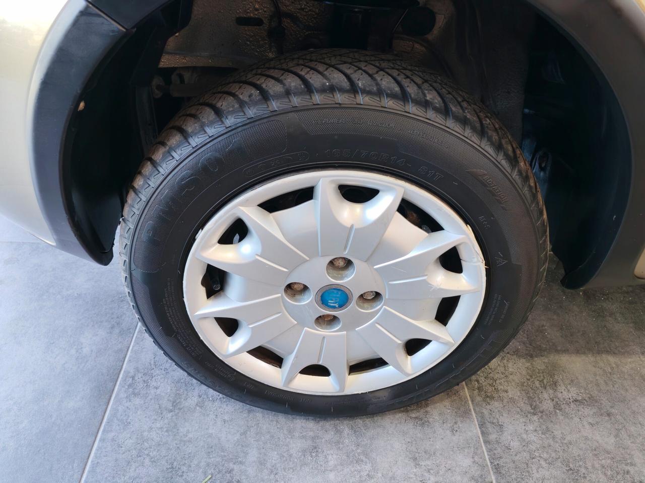 Fiat Panda 4x4 - 1.2 Climbing 60 cv