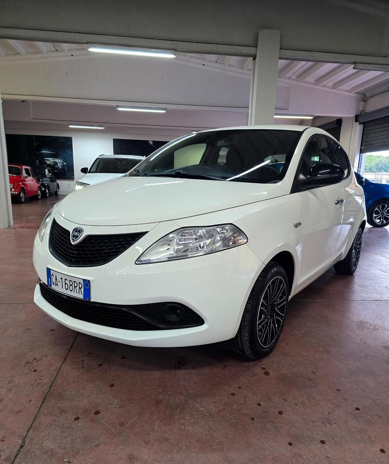 Lancia Ypsilon 1.2 69 CV 5 porte S&S Platinum
