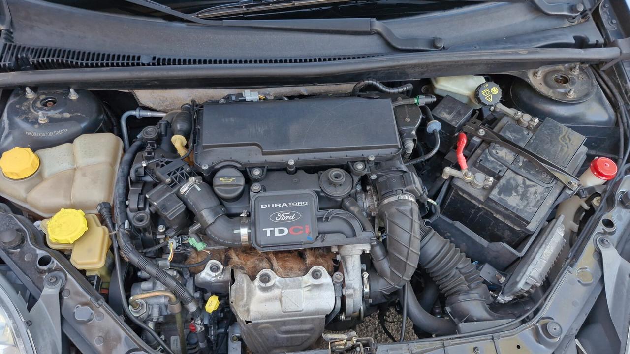 Ford Fiesta 1.4 TDCi 3p. Ghia