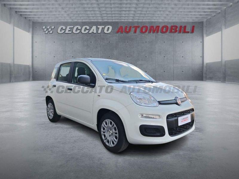 FIAT Panda Panda 1.0 firefly hybrid s&s 70cv 5p.ti