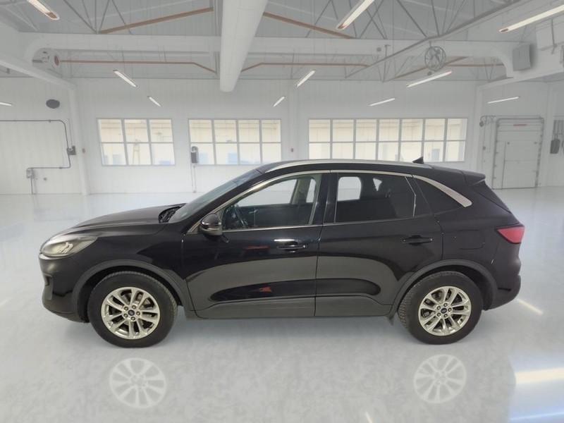FORD KUGA 1.5 EcoBlue 120CV 2WD Titanium Business Auto