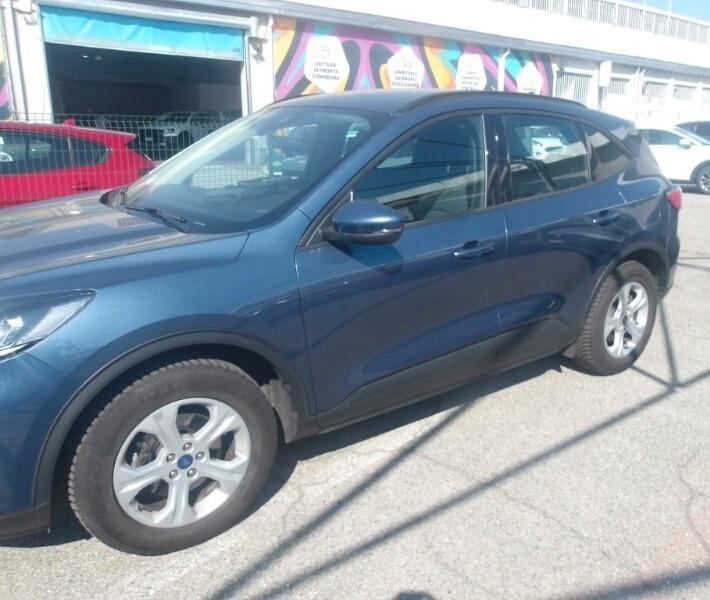 Ford Kuga 1.5 EcoBlue 120 CV 2WD Titanium 2022
