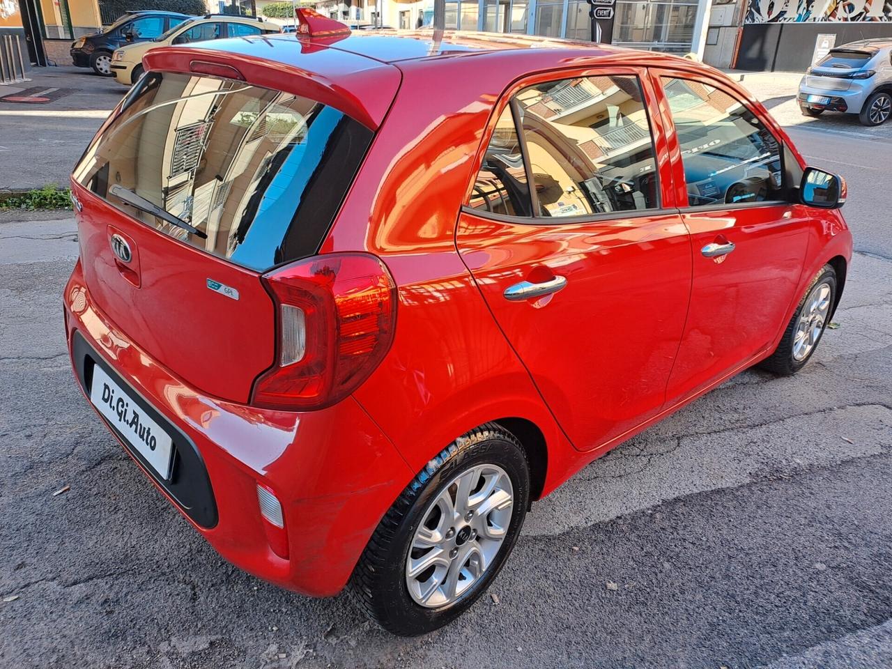 Kia Picanto 1.0 12V EcoGPL 5 porte Cool