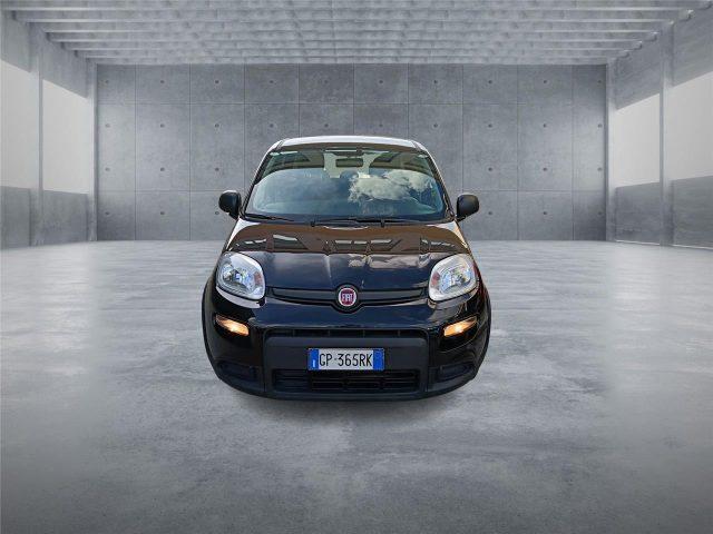 FIAT Panda 3ª serie 1.0 FireFly S&S Hybrid