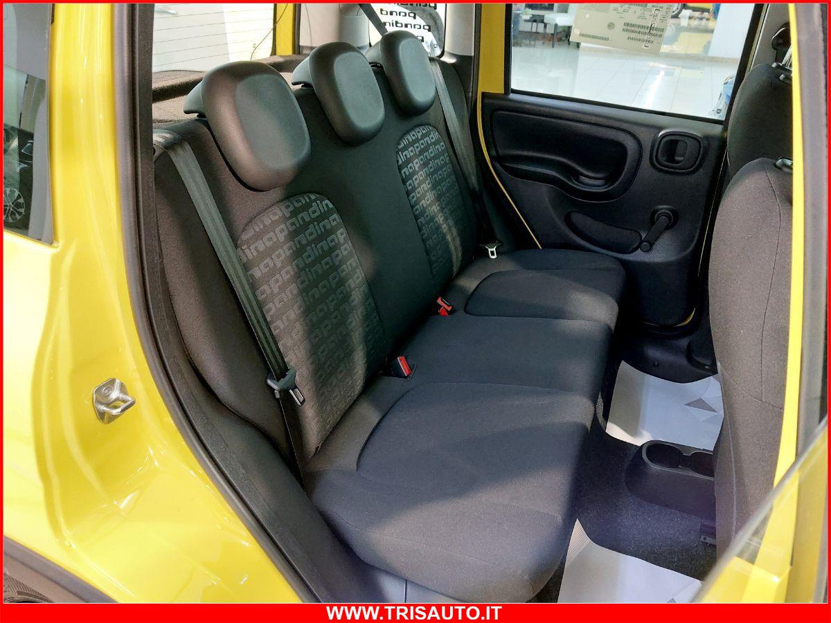 FIAT Panda 1.0 FireFly S&S Hybrid MY24 KM ZERO!!! IVATA NEOPATENTATI