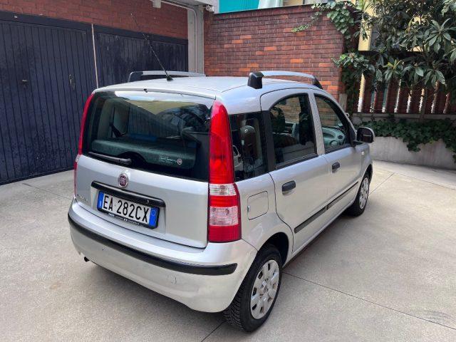 FIAT Panda 1.2 Dynamic climatizzatore ottime condizioni