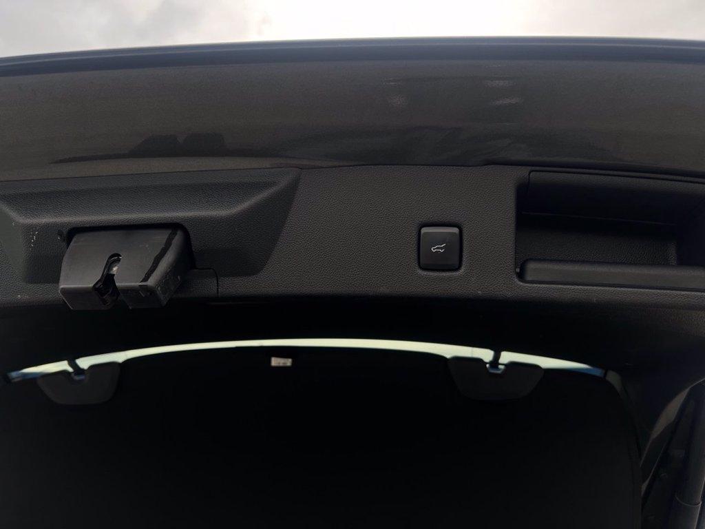 FORD Kuga 1.5 ecoblue ST-Line 2wd 120cv del 2022