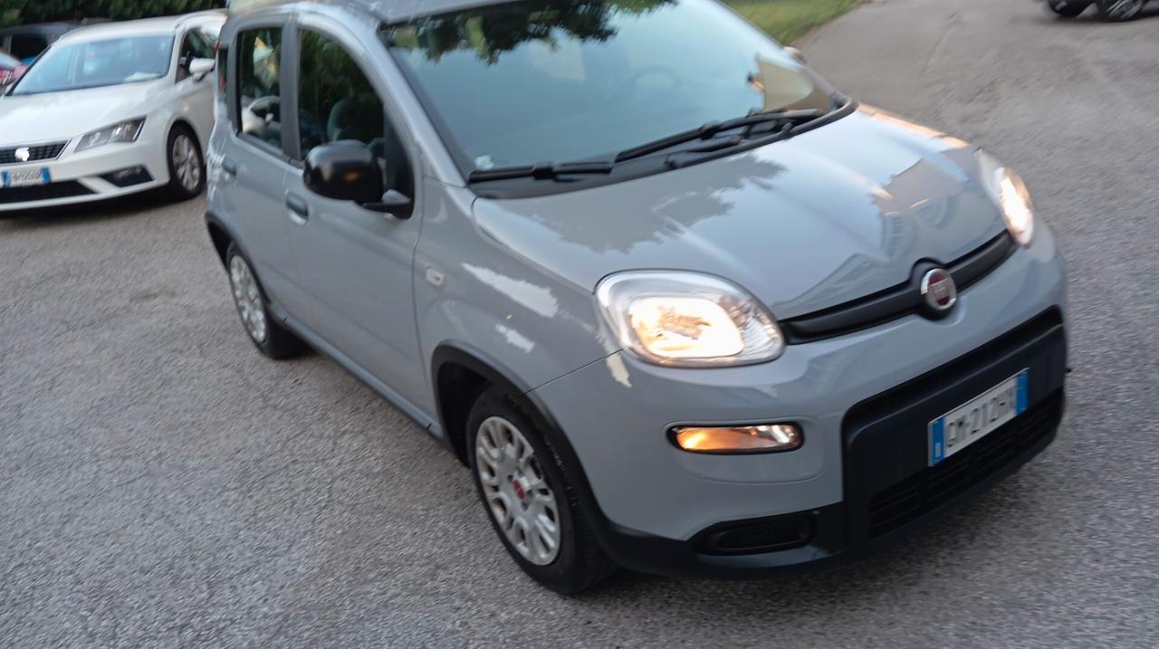 Fiat Panda 1.0 FireFly S&S Hybrid City Life