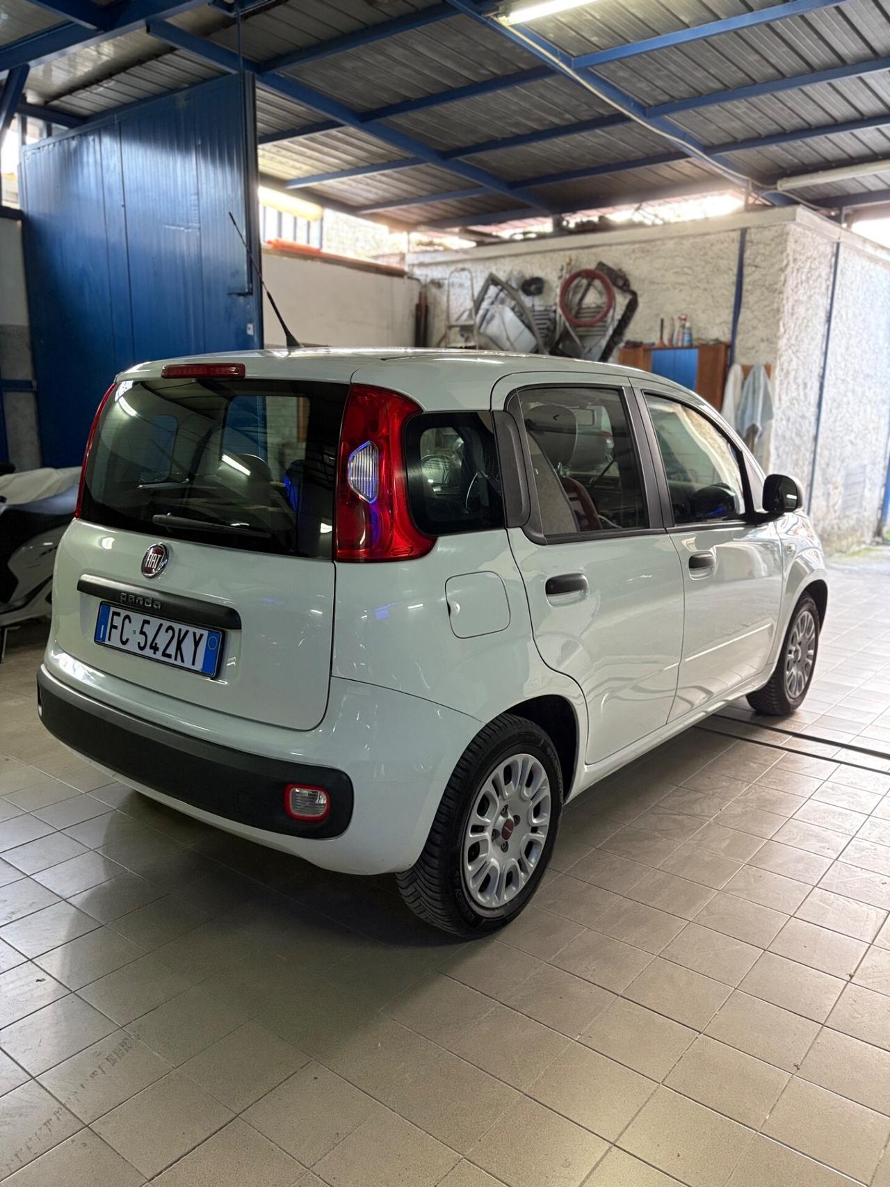 Fiat Panda 1.2 Easy Benzina