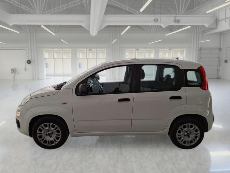 FIAT PANDA 1.2 69 CV SES E6D-TEMP EASY 5 PORTE BERLINA
