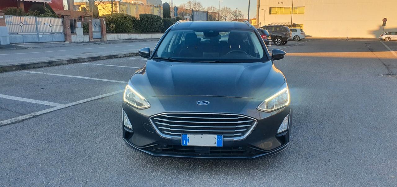 Ford Focus 1.5 EcoBlue 120 CV automatico SW Business Co-Pilot