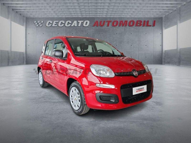 FIAT Panda Panda 1.0 firefly hybrid s&s 70cv