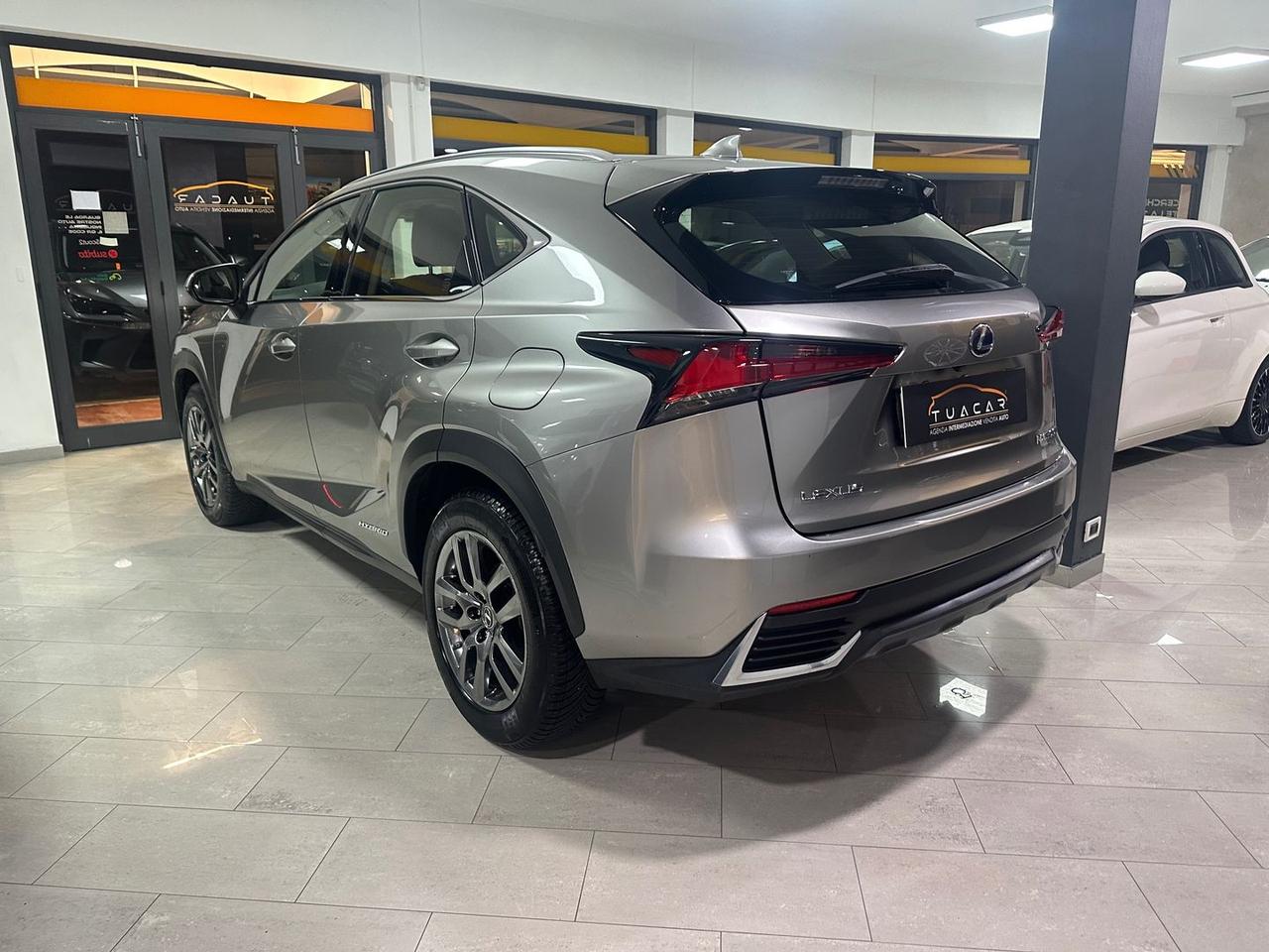 Lexus NX 300h Executive NX 300h HEV #8712