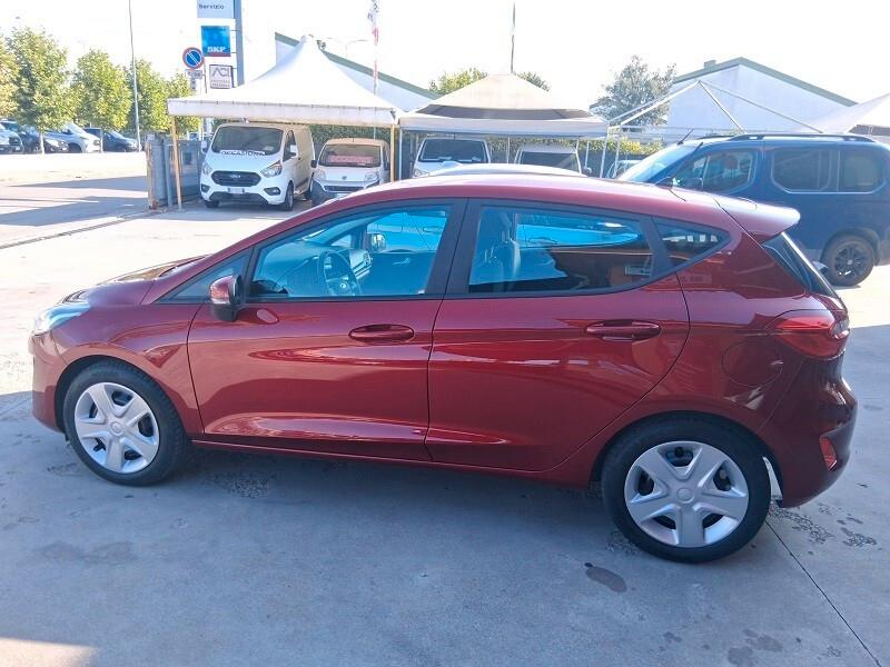 Ford Fiesta 1.5 EcoBlue 5 porte Business (684)