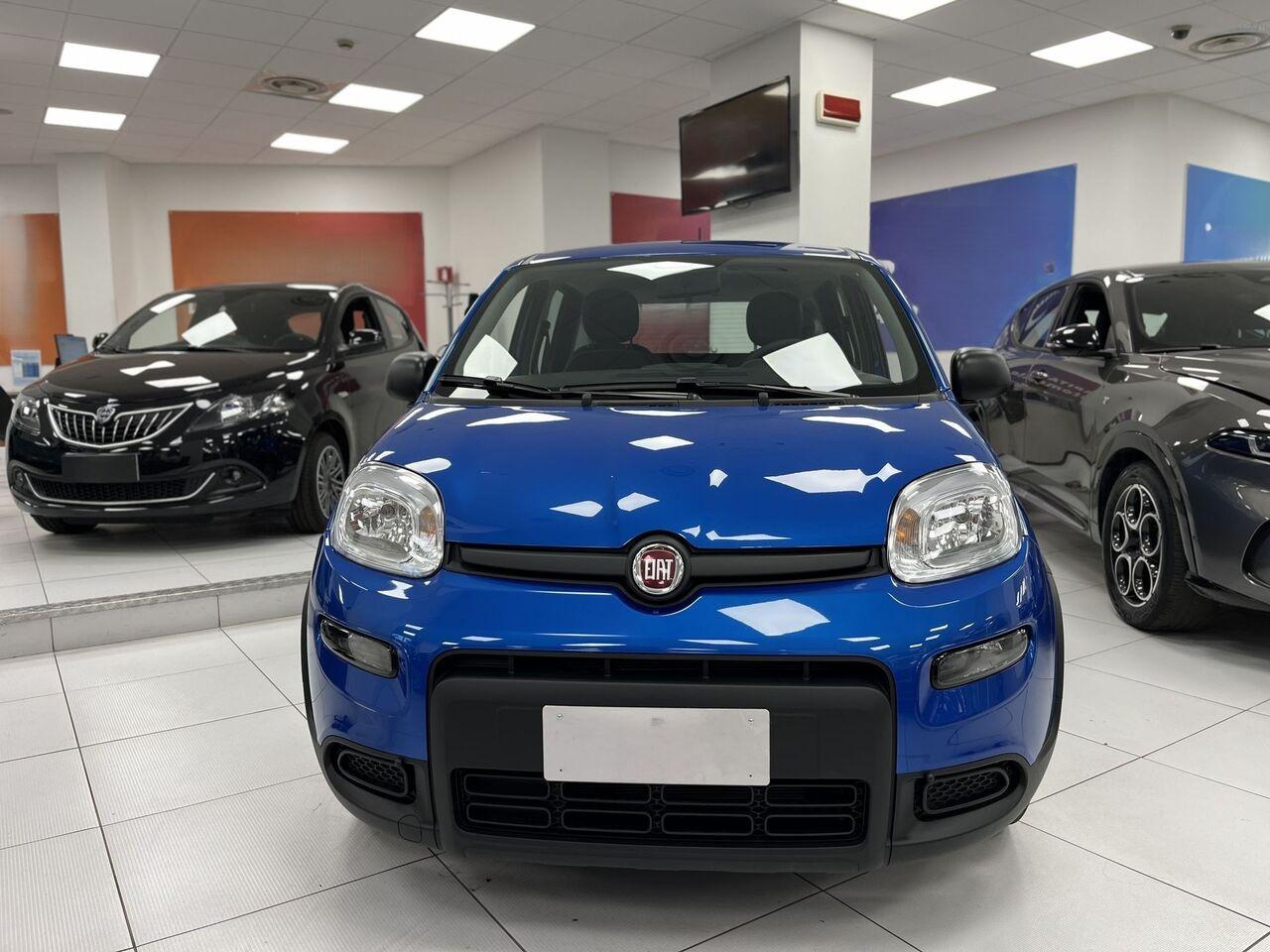 FIAT Panda III 2021 - Panda 1.0 firefly hybrid s&s 70cv