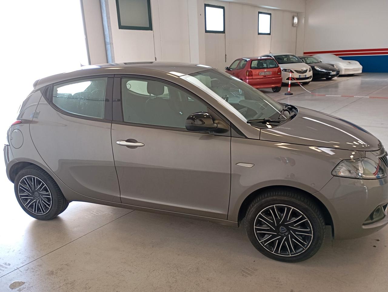 LANCIA Y GOLD PLUSS