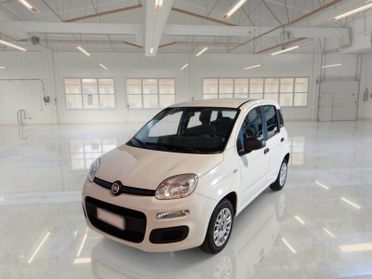 Fiat Panda Fiat Panda 1.2 easy 5 posti
