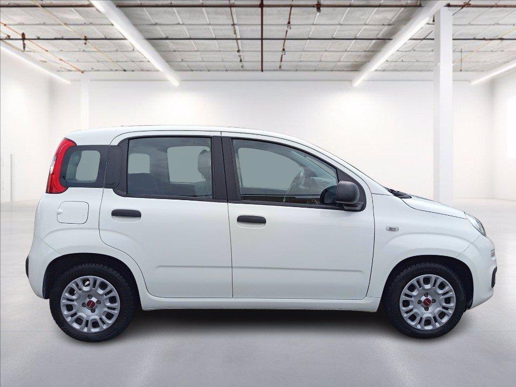 FIAT Panda 1.0 firefly hybrid s&s 70cv del 2021