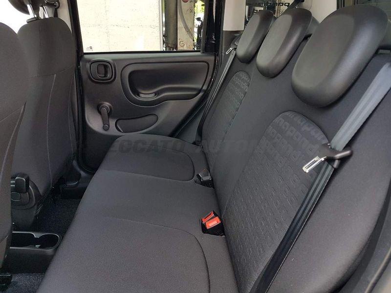 FIAT Panda Panda My25 1.0 70cv Hybrid Pandina