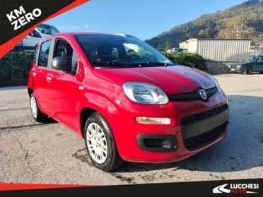 FIAT Panda Panda 1.0 FireFly S&S Hybrid Icon, 5 posti e stereo Bluetooth con comandi al volante! GPL!!