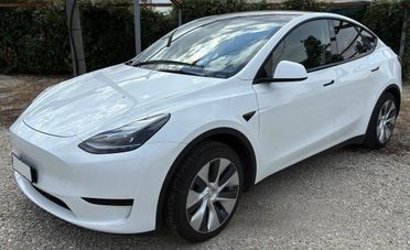 Tesla Model Y 299CV - POMPA DI CALORE - CAMERA