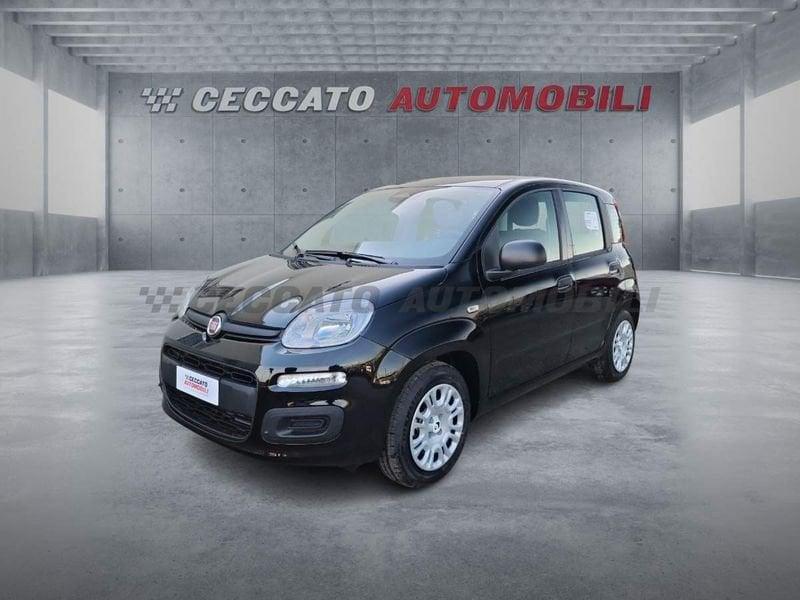 FIAT Pandina Pandina 1.0 65cv Hybrid Icon