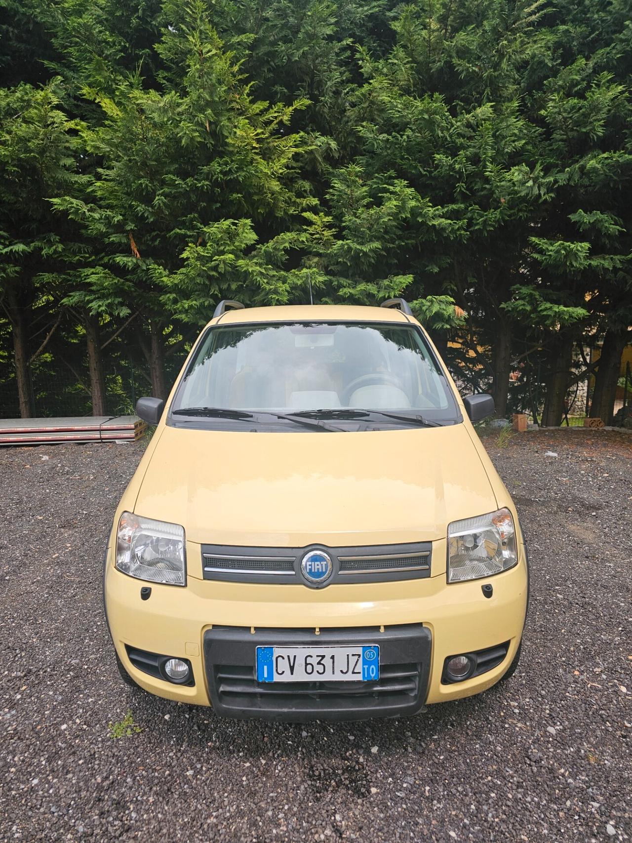 Fiat Panda 4X4 1.2 Benzina