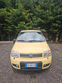 Fiat Panda 4X4 1.2 Benzina