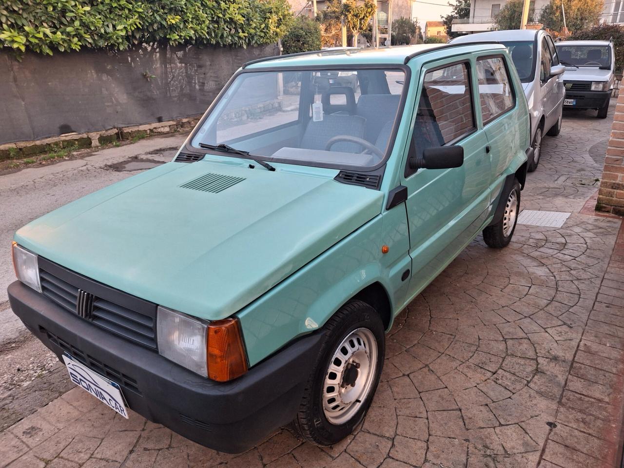 Fiat Panda 1100 i.e. cat Young