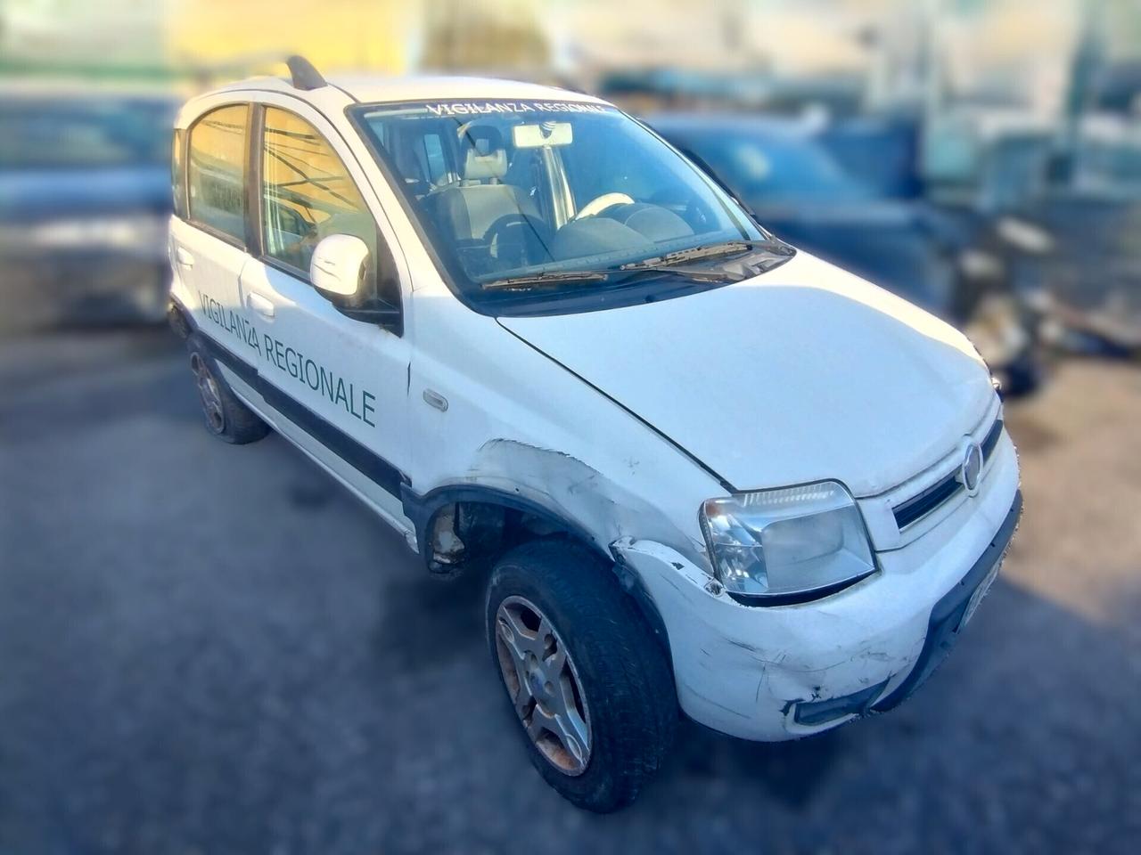 Fiat Panda 1.3 MJT 16V DPF 4x4 Climbing