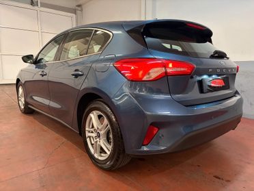 Ford Focus 1.5 EcoBlue 95 CV 5p. Business