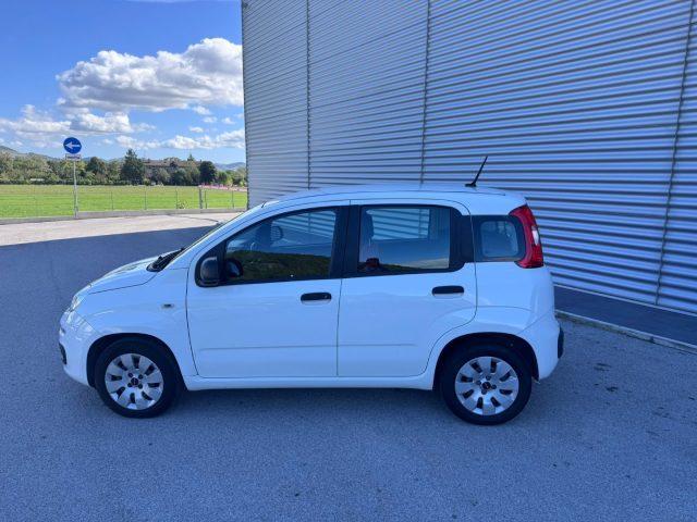 FIAT Panda 1.2 Benzina 4 cilindri OK NEOPATENTATI IVA ESPOSTA